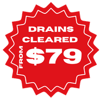 Drains cleared from $79